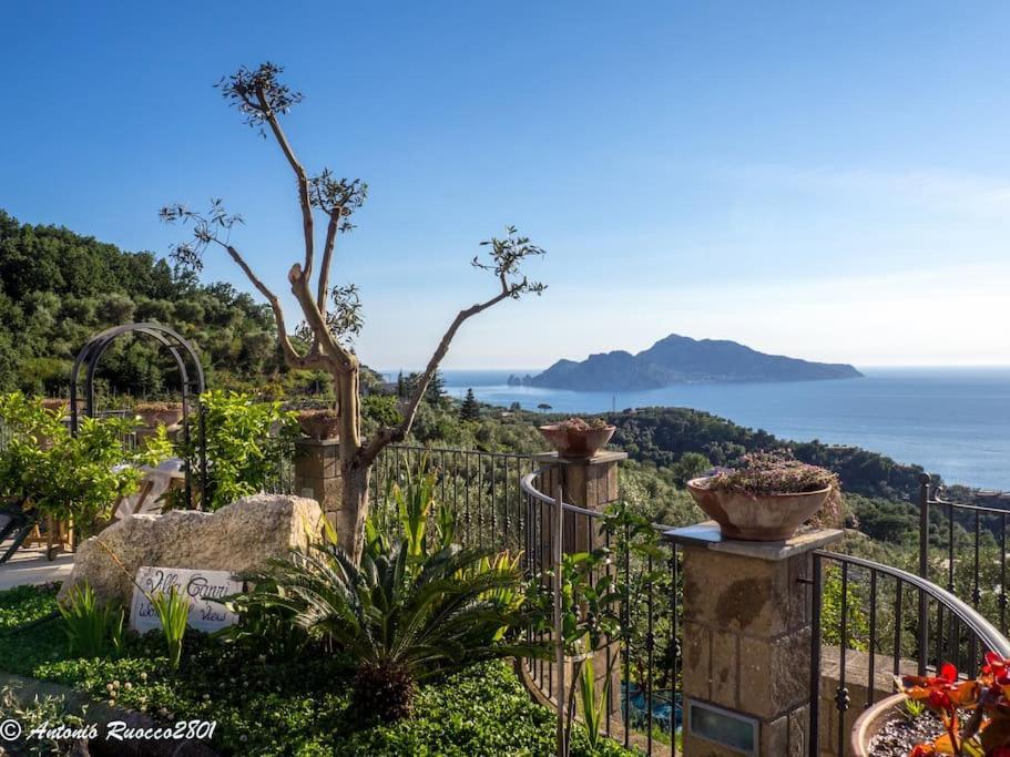 Villa Capri Wonderful View Massa Lubrense Exterior photo