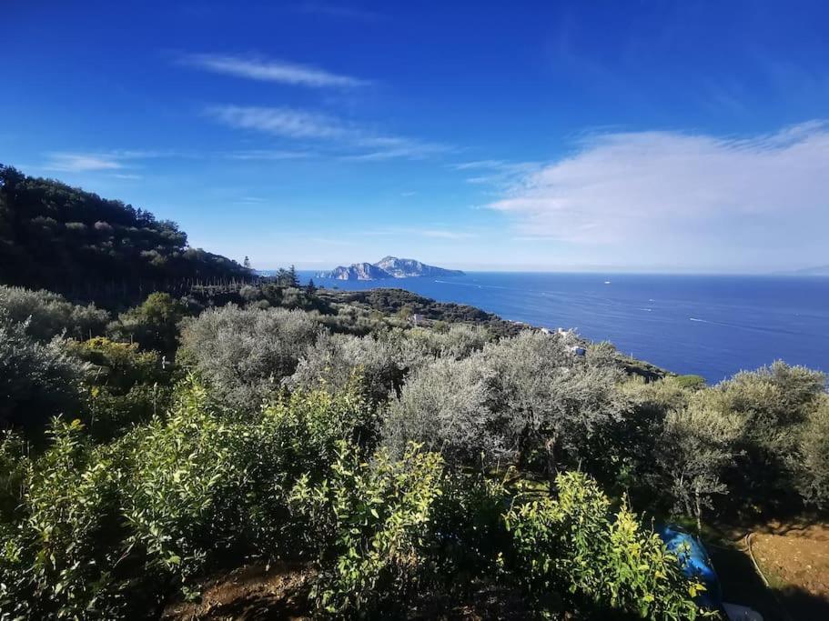 Villa Capri Wonderful View Massa Lubrense Exterior photo