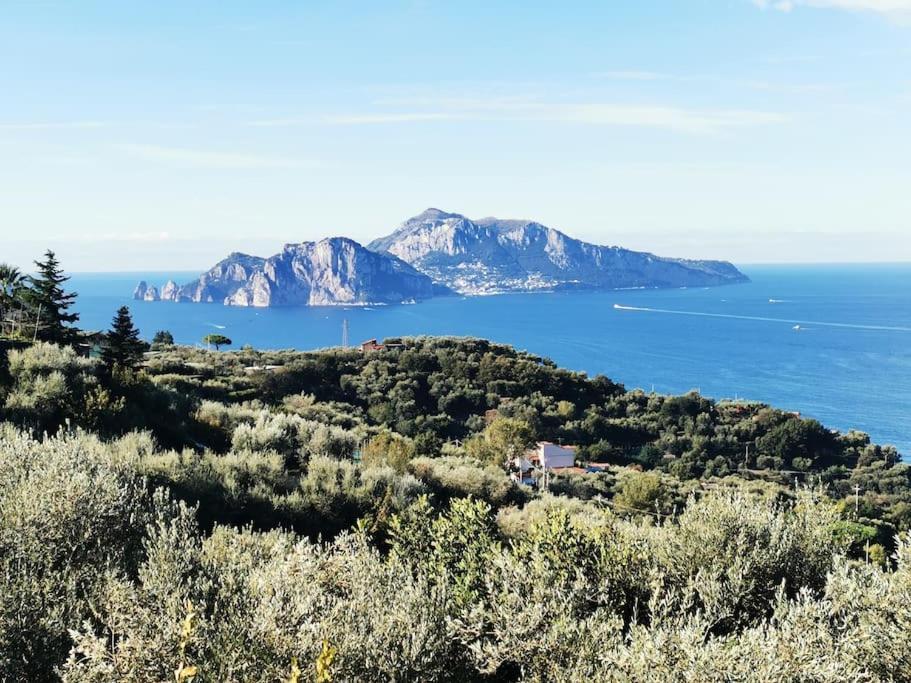 Villa Capri Wonderful View Massa Lubrense Exterior photo
